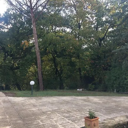 Il Frassino *
