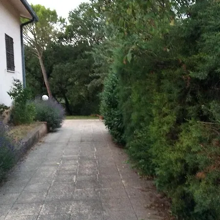 Il Frassino